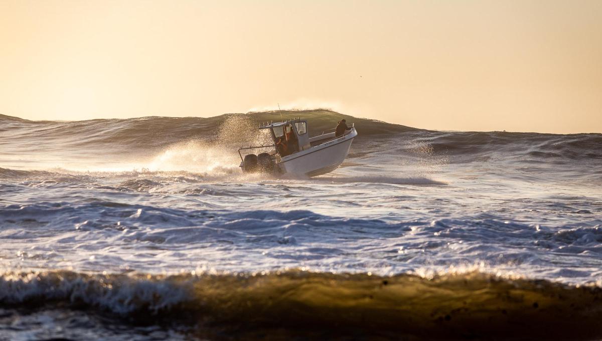 go-fish-join-the-fishing-revolution